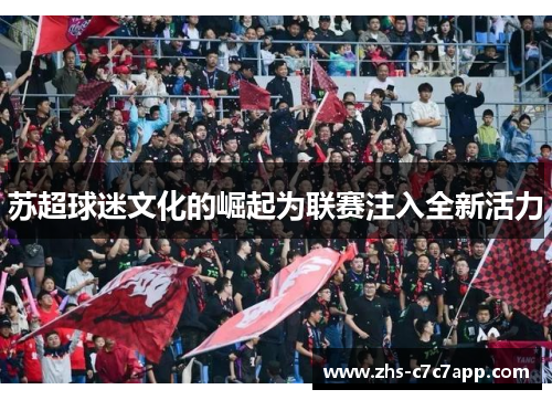 苏超球迷文化的崛起为联赛注入全新活力
